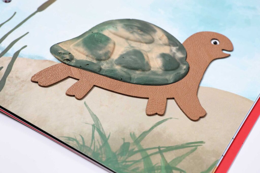 Buchseite mit taktiler Illustration einer Schildkröte